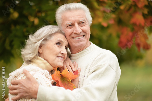 portrait of beautiful senior couple with leaves in the park