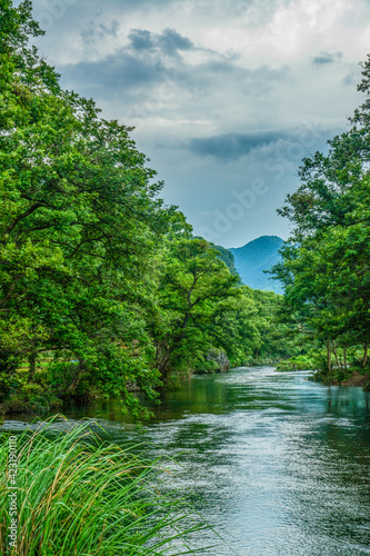 river and forest