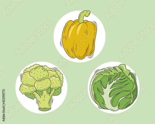 carbohydrates healthy food