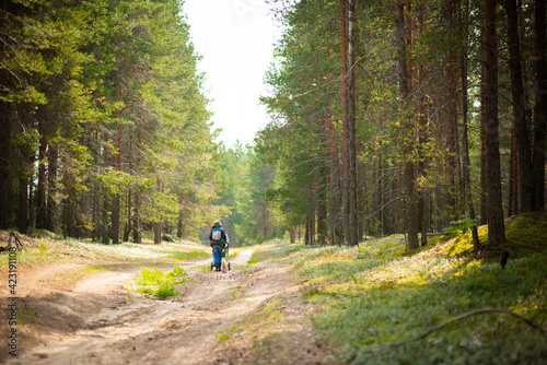 travel and tourism, a person walking through the woods with a baby stroller, selective focus 
