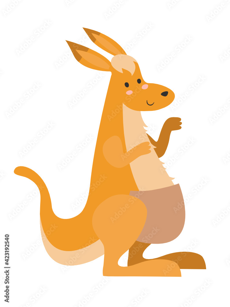 kangaroo kangaroo