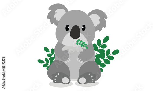 koala