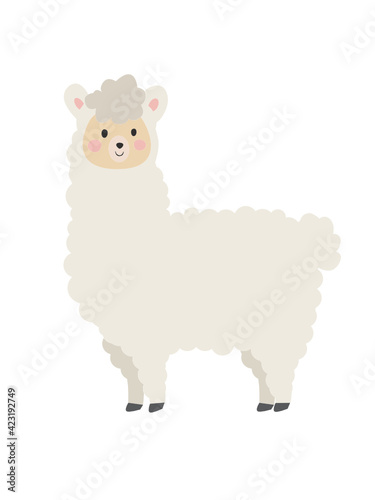 llama