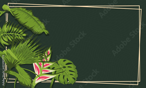 heliconia and leaves