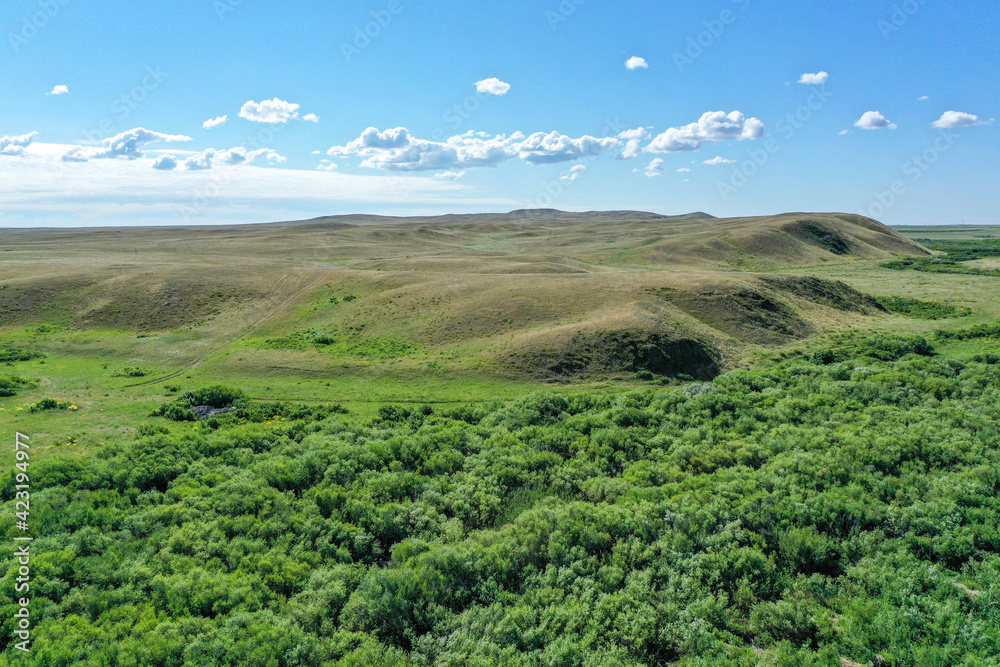 green field of kazakhstan with blue sky and clouds green field of kazakhstan with blue sky and clouds