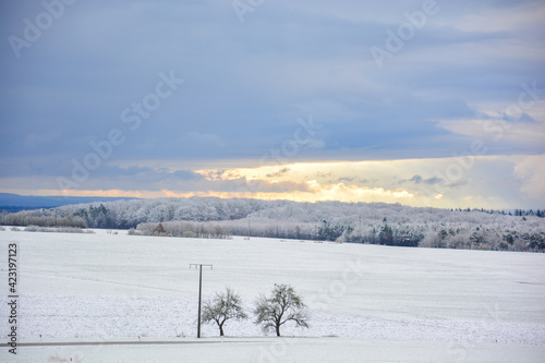 Schneebedeckte Winterlandschaft auf einem Feld bei Schweinfurt mit zwei B  umen