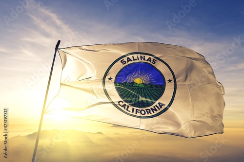 Salinas of California of United States flag waving on the top