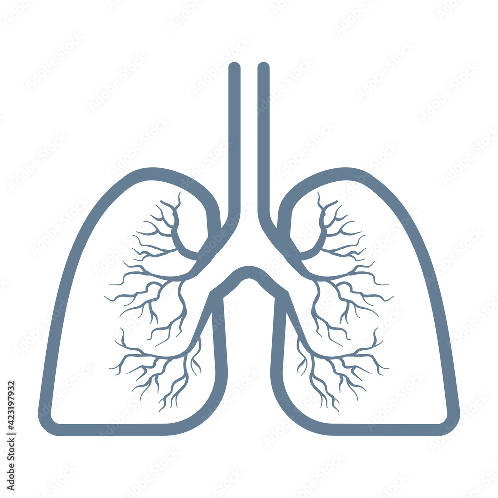 Lungs icon sign Isolated on white background Lungs icon sign Isolated on white background