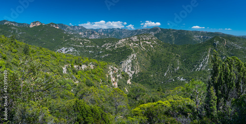 La Fou Ravine, The Ports Natural Park, Terres de l'Ebre, Tarragona, Catalunya, Spain