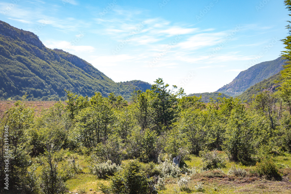 Fototapeta premium tierra del fuego national park, ushuaia, patagonia, argentina, south america
