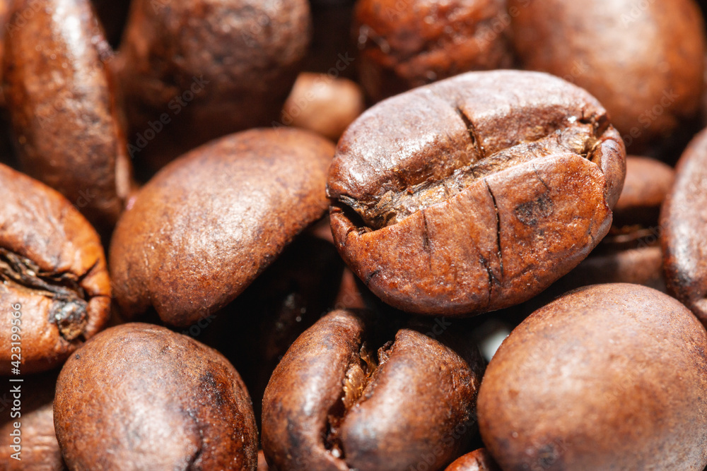 Coffee beans close up