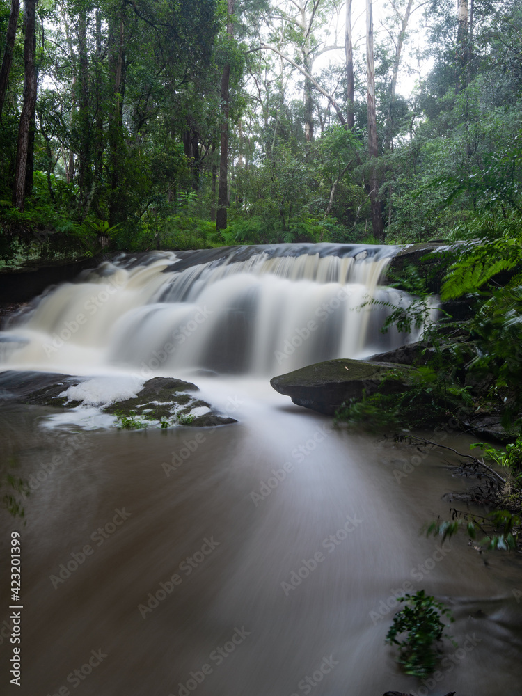 Callicoma Walk Cascade with full water flow, Sydney, Australia.