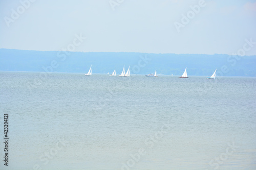 Segelboote mit weißen Segeln fahren im Sommer über den Ammersee bei Herrsching, Allgäu, Bayern, Deutschland