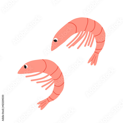 Cute pair of shrimps. Cartoon style hand-drawn isolated illustration.