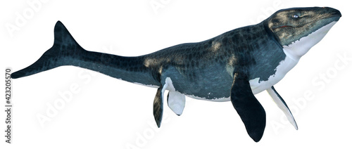 Fotografie 3D Rendering Mosasaur on White