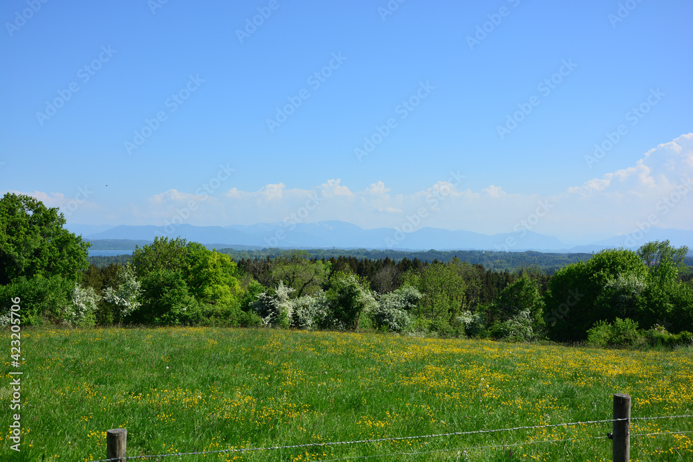 Panorama over the landscape with a green meadow at Lake Starnberg with a view of the Alps in Allgäu, Bavaria, Germany