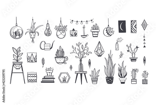Home Plants in pots , house plants, cactus decoration set