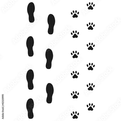 Traces of a man and a dog. Walking your pet. Vector illustration