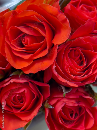 Bouquet rose flower, close up. Roses for sale at Flower Market. Red flowers for background.