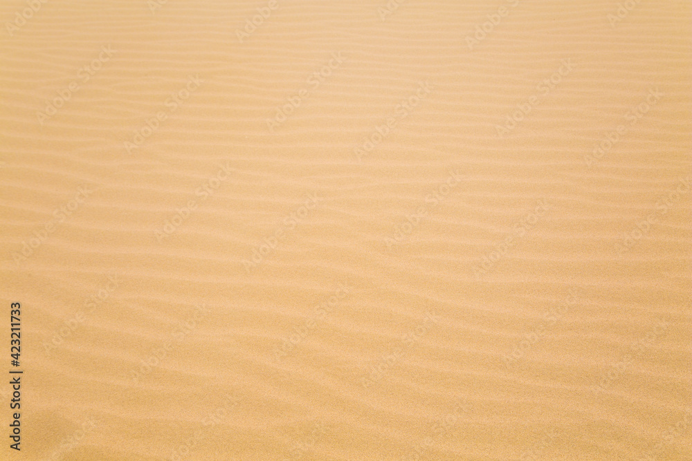 golden sand in the desert golden sand in the desert