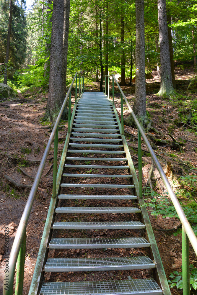 Metal staircase in the forest near Hruboskalsko Czech Republic