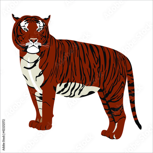 tiger vector illustration symbol of the year 2022 in the Chinese calendar wildlife animals of our planet