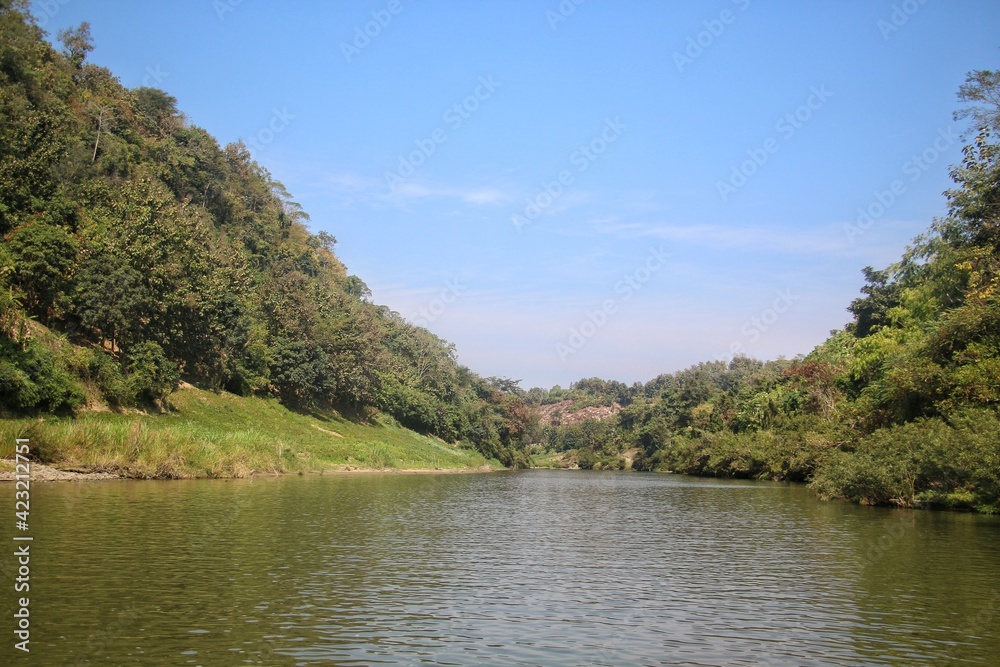 lake in the forest