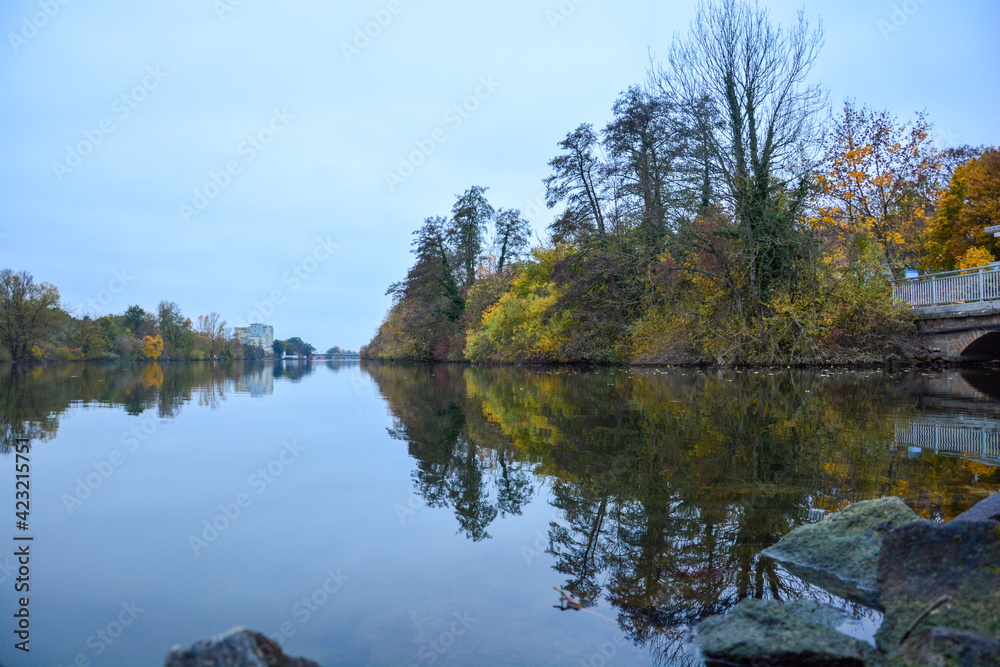 Herbstliche Bäume mit Wasserspiegelung am Main bei Schweinfurt im Herbst, Franken, Bayern, Deutschland