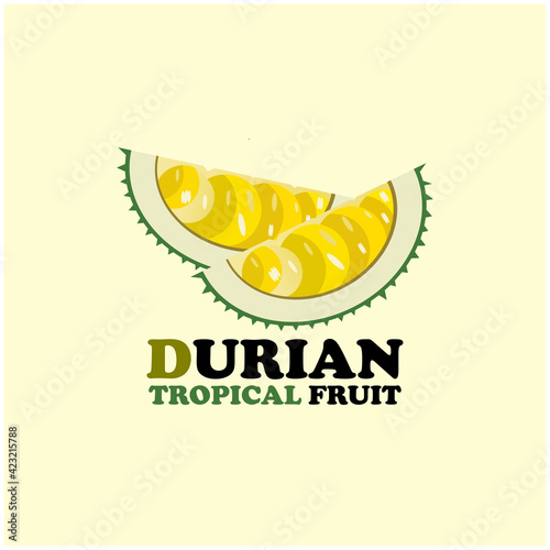 durian design logo vector. illustration durian fruit design vector