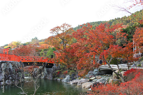 Autumn leaves and little shrine at Katsuo-ji , Minoo, Osaka, Japan photo