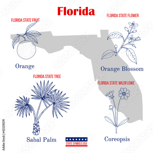 Florida. Set of USA official state symbols
