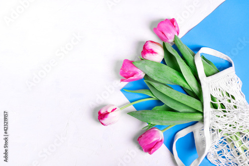 Fototapeta Naklejka Na Ścianę i Meble -  Bunch of pink tulips in mesh bag on white and blue. Greeting card template with copy space