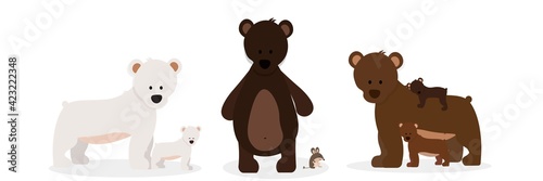 Set of six bears on a white background 