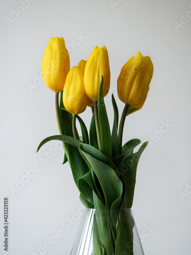 bouquet of yellow tulips in a vase on a white background