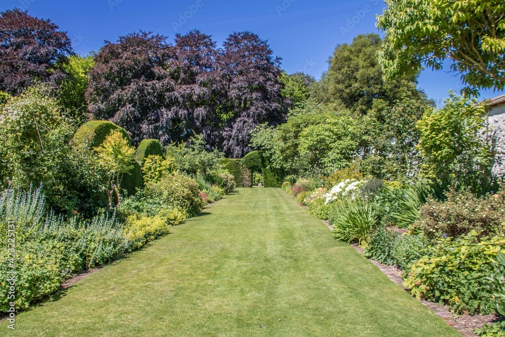 beautiful english country garden on a bright summer day