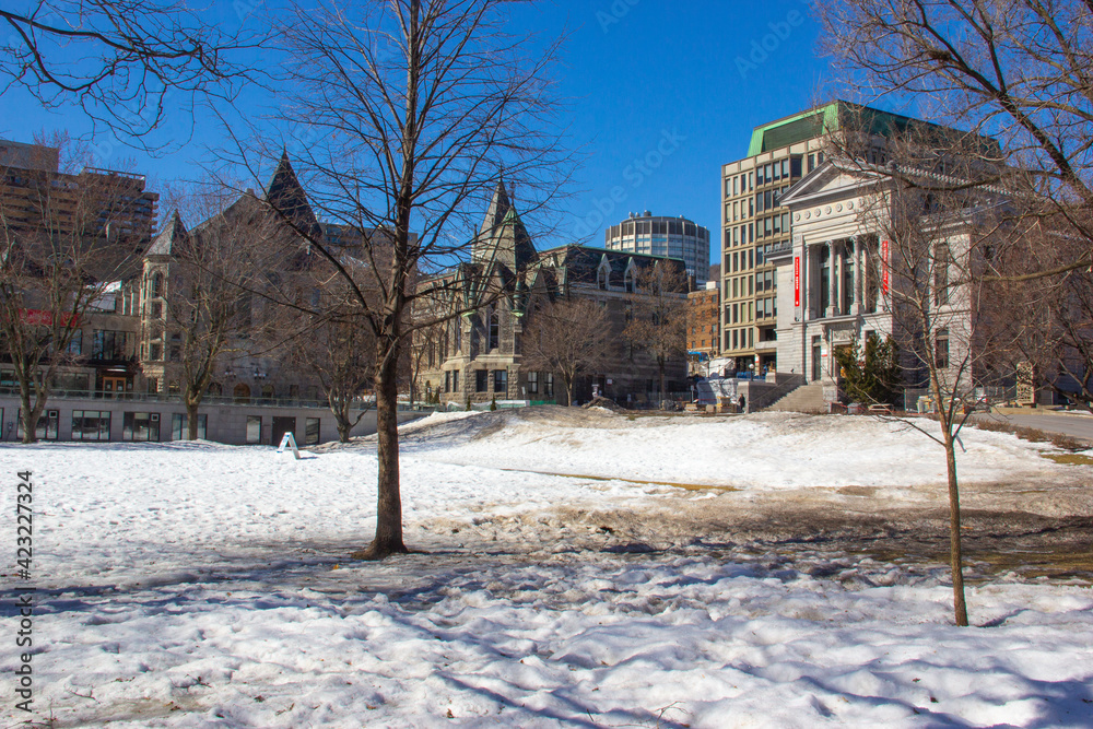University campus in winter