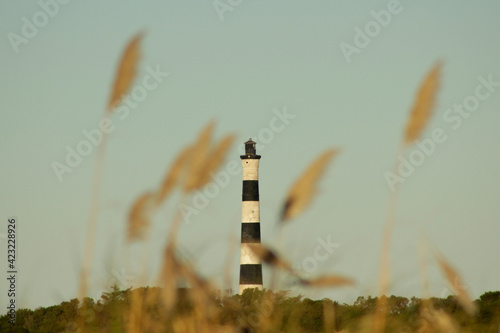 lighthouse in the farm photo