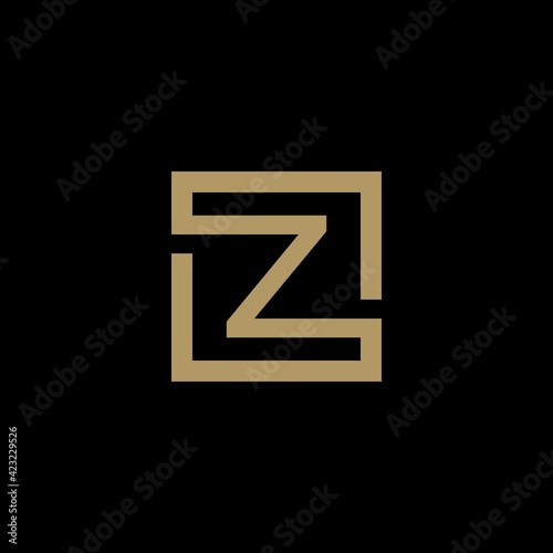 Abstract Letter Z and square shape