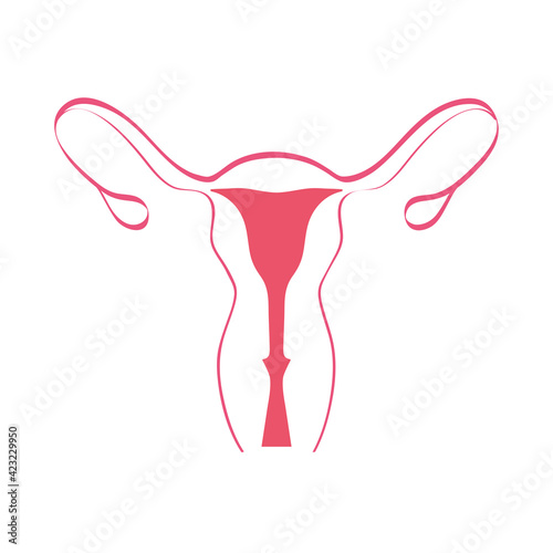 female reproductive organ