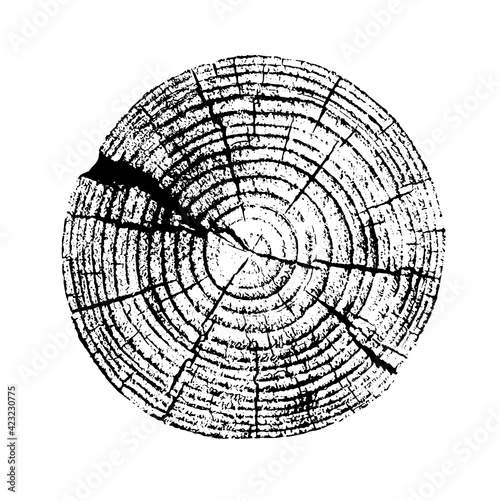 Distressed overlay texture of rough surface, old tree stump, rings on tree. Grunge background.