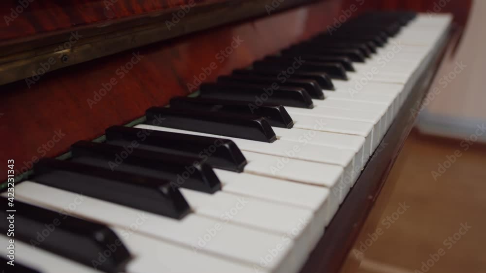Piano keys are shown close-up. Stringed percussion keyboard musical instrument. Piano keys are shown close-up. Stringed percussion keyboard musical instrument.