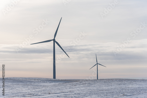 Wind turbines on the prairies in winter. 