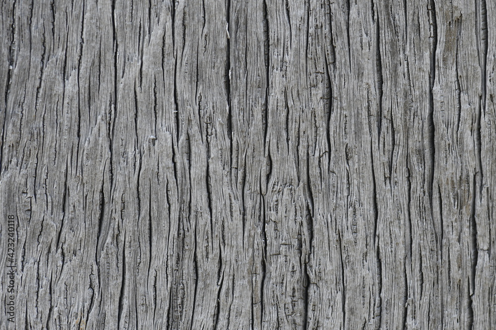 wood texture