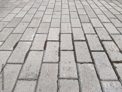 sidewalk in the park lined with tiles in the spring season