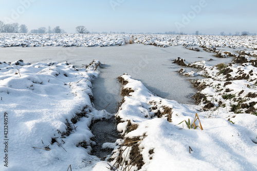 winter landscape with snow