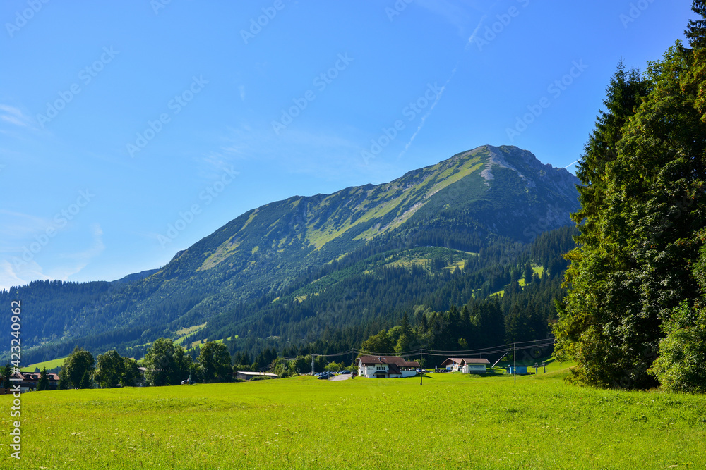 Landschaft mit Almwiese und Berg in Bad Hindelang Oberjoch im Allgäu Bayern, Deutschland