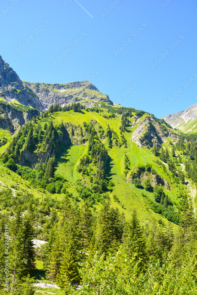 Obraz premium Schöner Berg mit grüner Bergwiese oder Weide mit Bäumen im Sommer bei Sonnenschein und blauem Himmel ohne Wolken im Tannheimer Tal beim Vilsalpsee, Bad Hindelang, Bayern, Deutschland