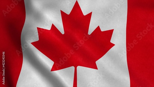 Flag of Canada fluttering in the wind. 3d illustration
