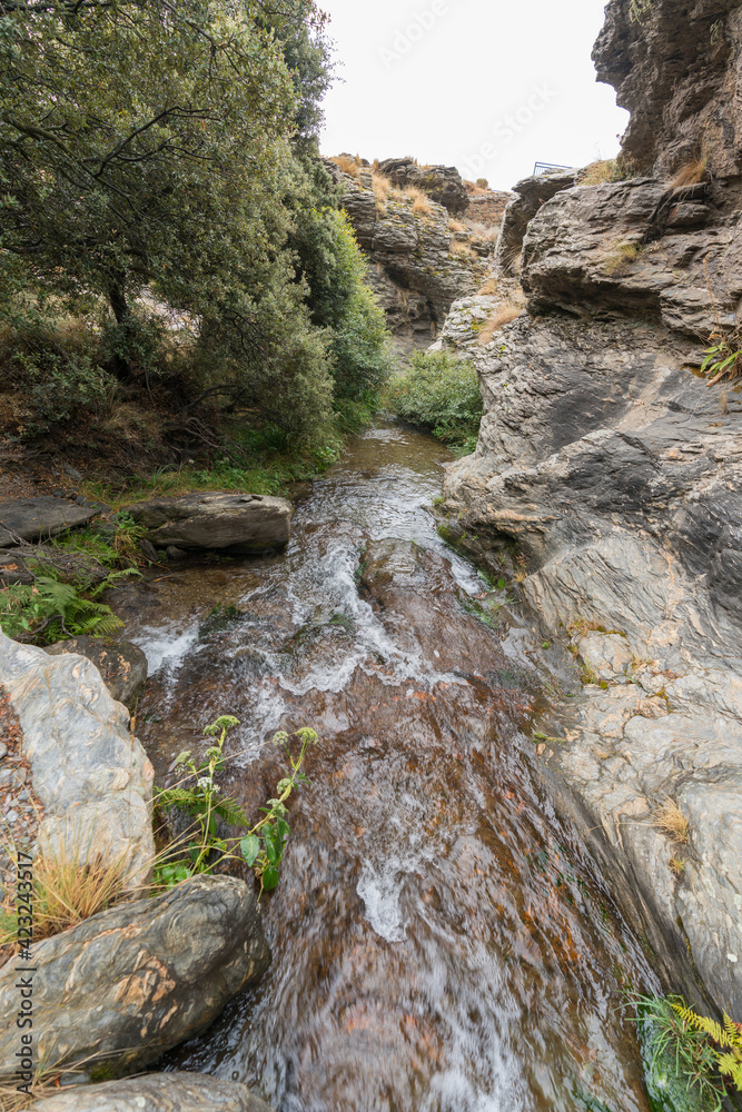 stream of water in the mountain