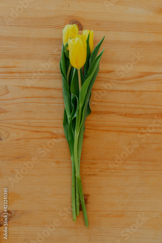 Bright fresh yellow tulips on wooden background. Bunch of three yellow tulips on table with space for text.